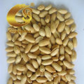 High Quality Big Size Delicious Roasted and Salted Peanut Kernels 25/29